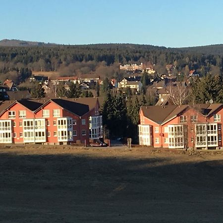 Apartment Gosch An Der Skiwiese Braunlage Exterior photo